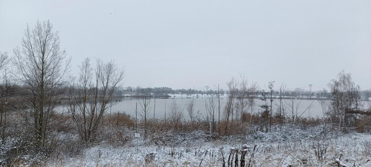 Ferienwohnung Maeurer Leipziger Neuseenland Groitzsch Dış mekan fotoğraf
